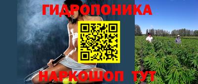 крисы Камень-на-Оби