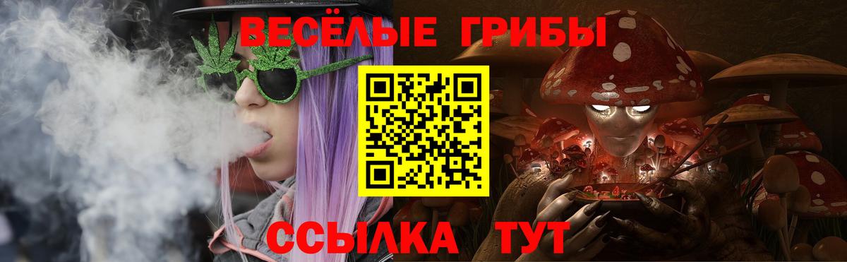 Псилоцибиновые грибы мухоморы  Вход с VPN  Моздок  Псилоцибиновые грибы мухоморы 